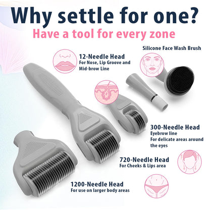 6-in-1 Titanium Derma Roller Kit for Face & Body